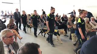 Consegna Cani Guida Al 70 Congresso Nazionale Lions Clubs, Ferrara 20-22 Maggio 2022