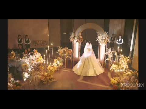 你的婚礼 + 嘉宾 MV