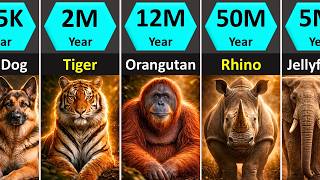 Species Lifespan Comparison | How Long Animals Exist on Earth