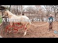 What to do when your horse sits back