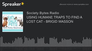 USING HUMANE TRAPS TO FIND A LOST CAT - BRIGID WASSON (part 1 of 2)