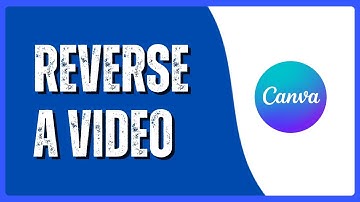 How to Reverse a Video in Canva | Using the Video Reverser App