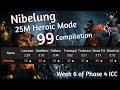 Nibelung boomie 99 25m heroic mode run  icc wotlk phase 4 balance druid