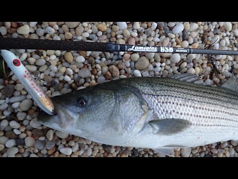 Striped Bass Surfcasting with Pancake Syrup Plugs 