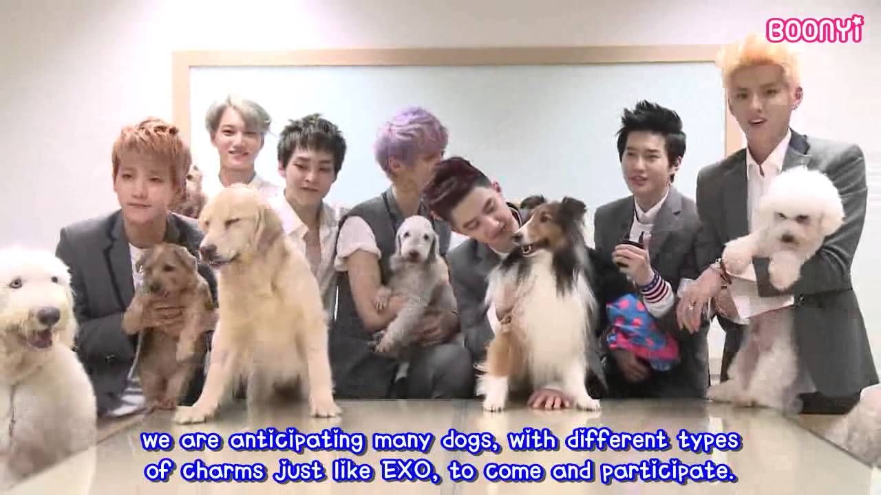 EXO ドギョンス　The dog