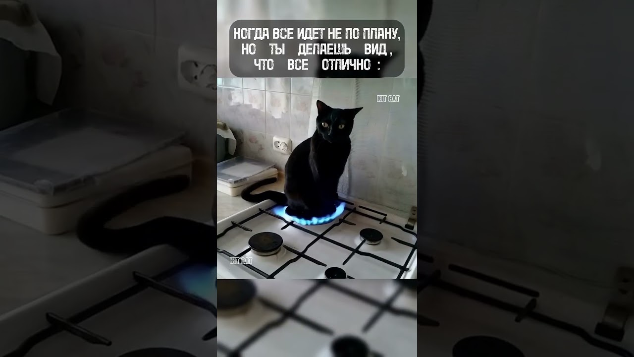 Когда открыл сундуки в новую акцию Lineage2 (лудоман)! 