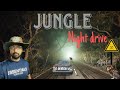 Jungle Night Drive | tiger territory 🐅| pilibhit tiger reserve