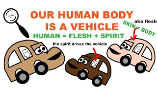 Our Human Body Is A Vehicle