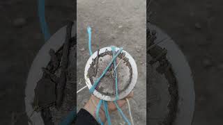 Выгуливаю магнит. #horse #лошадки