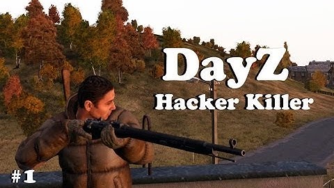 Hacker Killer - DayZ