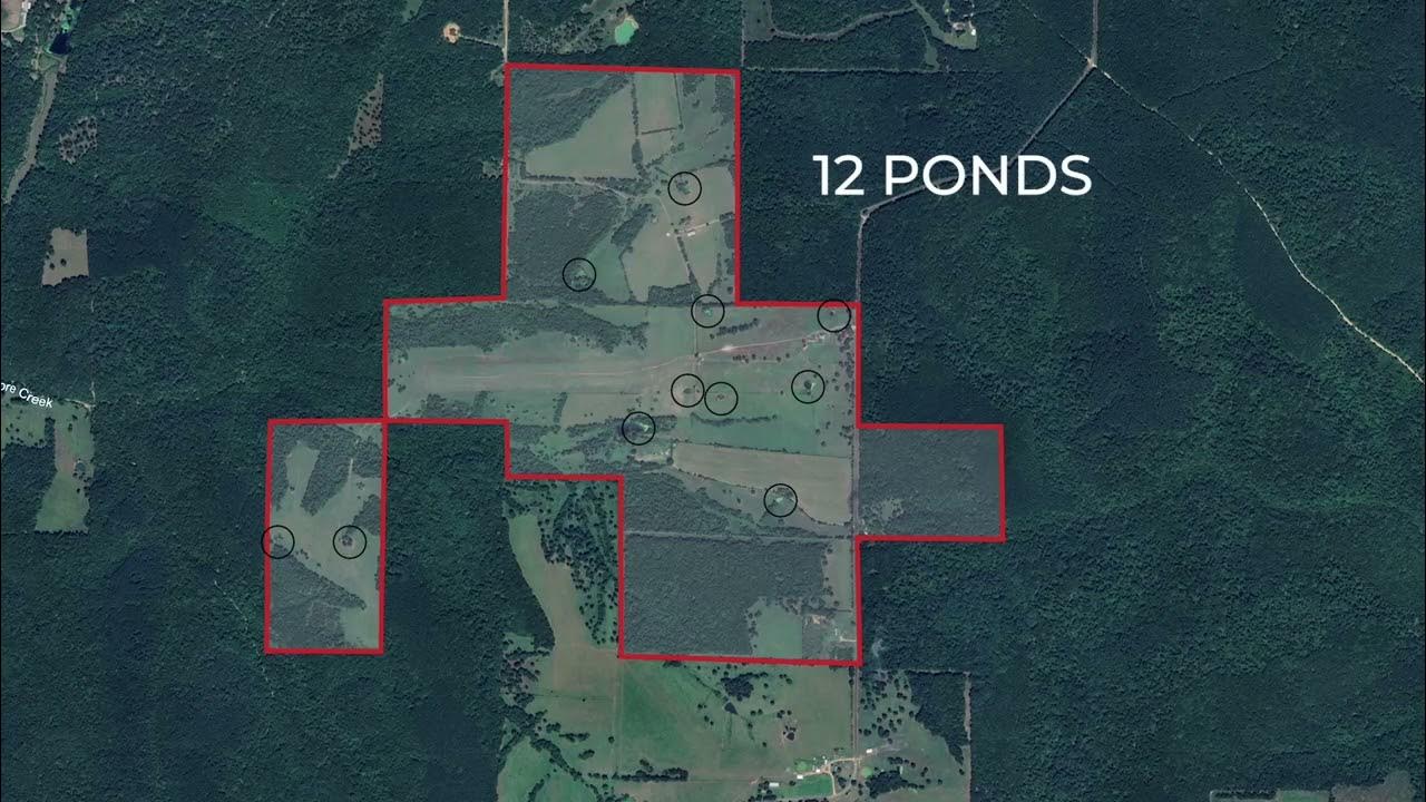 Laclede 611 Mossy Oak Properties YouTube