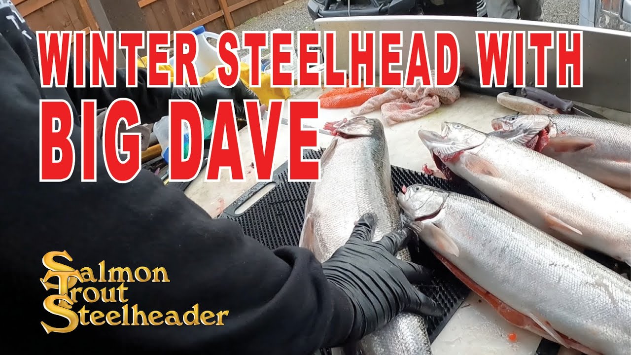 SPOON FISHING FOR WINTER STEELHEAD - Bill Herzog – Salmon Trout Steelheader