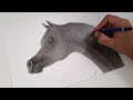 كيفية رسم وتظليل حصان باقلام الرصاص رسم واقعي رسم متقدم خطوة بخطوة 