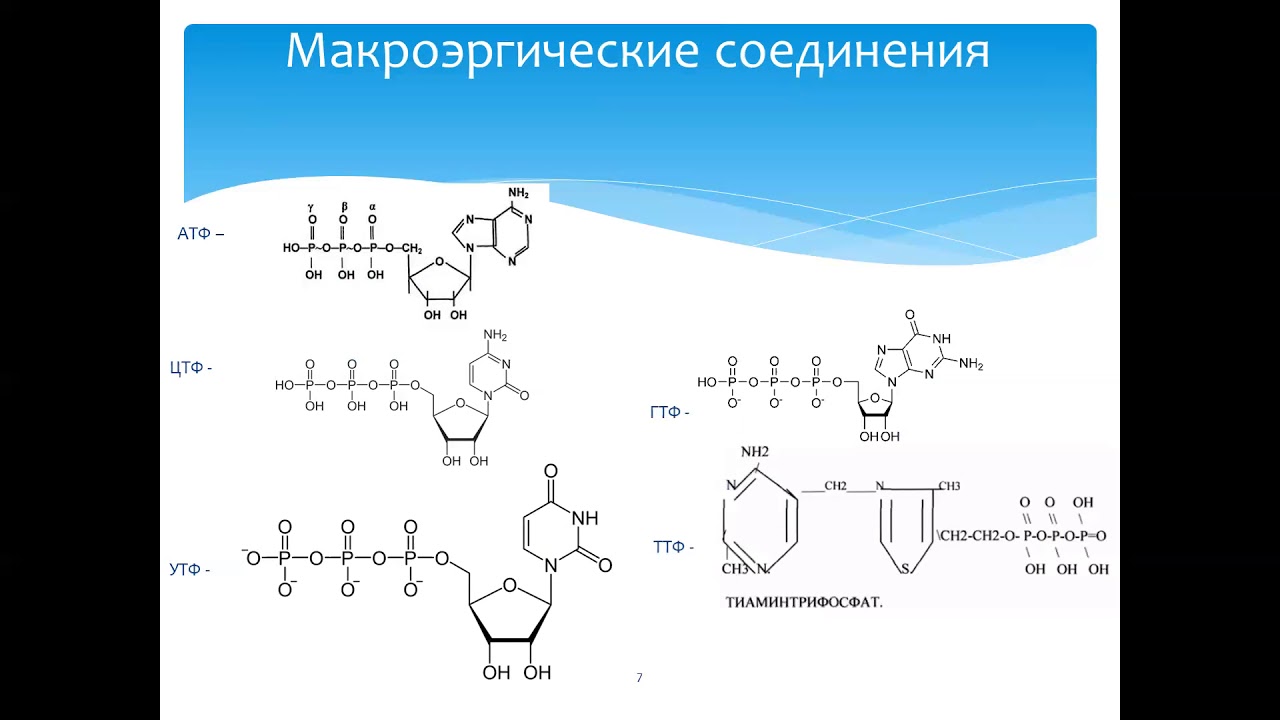 Макроэрги