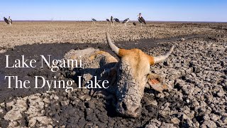 Climate Change and Drought. The Dying Lake of Lake Ngami, Botswana