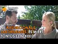 Mi a Funkcionális Laborelemzés, és miért fontos ez Neked?