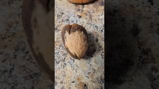 Joint Pain: Avocado Seed And Alcohol