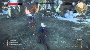 The Witcher 3: Wild Hunt quest bug