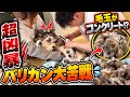全身が巨大な毛玉になった猫…バリカンしたら大暴れ！！