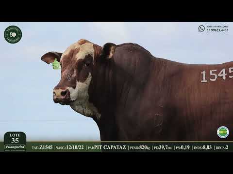 LOTE 35  Z1545