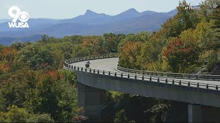 Here's why fall foliage colors are a bit muted this year