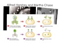 Genetics and the Hershey-Chase Experiment