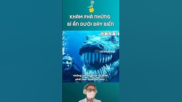 Khám phá những bí ẩn dưới đáy biển #khámphá #khoahoc #daiduong #bíẩn