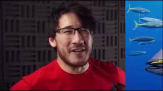 markiplier is a fish EVIDENCE) (NOT CLICKBAIT)
