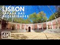 LISBON Walking Tour: Lisbon’s hidden gem: Tapada das Necessidades ASMR