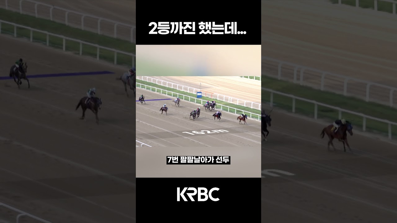 1등만 남았다! #shorts #경마방송 #기수 #경주마 #경마 #KoreaHorseRacing