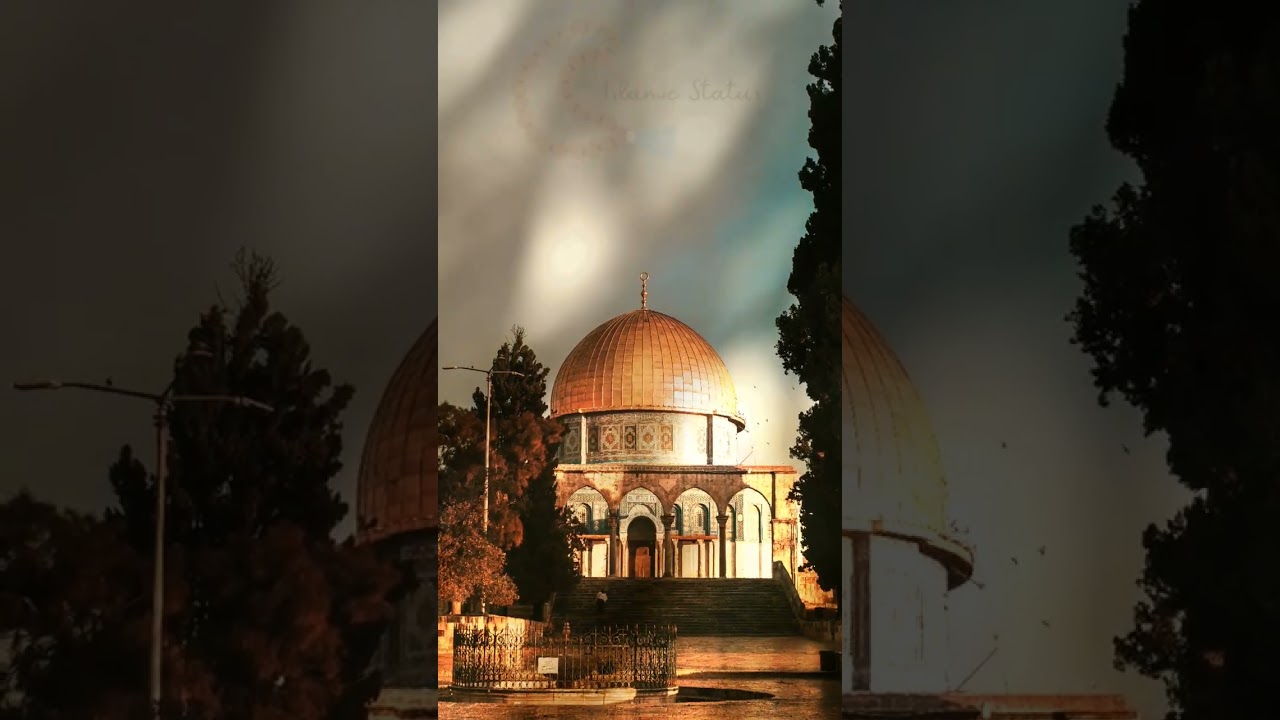 #Palestine #islamic ##naatstatus #viral