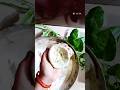 Tip of the day #shorts #parathabananekatarika #ytshorts #hometips #tiffin #tips #viral #gharelunutip