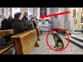 Pensaron que era gracioso ver un perro metido en la iglesia, pronto descubren la dolorosa verdad.