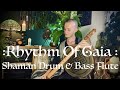Rhythmic trance meditation  spiritual dance music  shaman drum  bass native american style flute