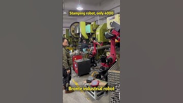 Bronte Stamping robot, only 4000.#machine #factory #industry #robots #vietnam