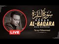 أجمل تلاوات القارئ طارق محمد سورة البقرة بث مباشر