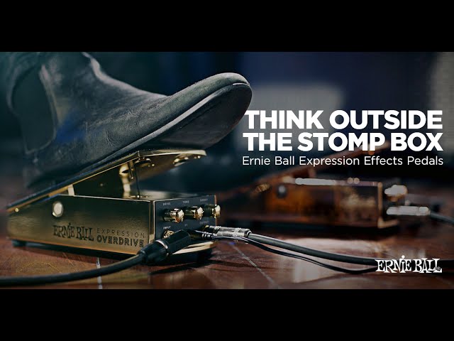 Ernie Ball Ambient Delay エフェクター Ambient Delay | Ernie Ball