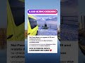suo ultimo desiderio… e quello che succede dopo 💔