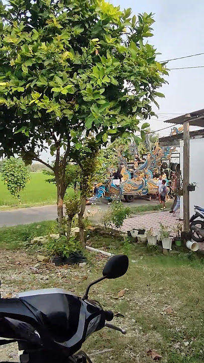 Oklik Bojonegoro #youtubeshorts #bojonegoro #oklik #tontonan #hiburan #jawatimur