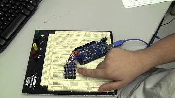 Discovery Lab Summer Camp