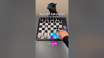 Bob the Cat rated 1350 + ChessUp 2
