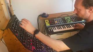 Moog Live Session "too much gear and no idea...?"