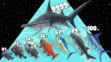 Hungry Fish Evolution - Level Up Fish Max Level Gameplay (New Update) Part 2