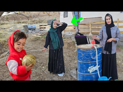 An Emotional Day Hard Work Romantic Cooking And The Swallow S First Steps To Talking