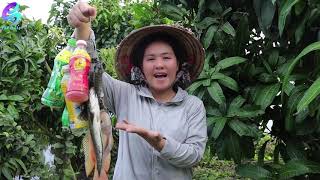 Unbelievable Fishing | Creative girl trapping fish with plastic bottle