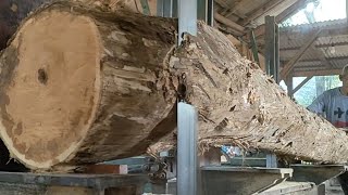 curved teak wood into straight beams