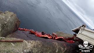 Hvalba cliffside whale dumping in the Faroe Islands - 19th Aug 2020