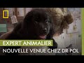 La famille Pol accueille une petite nouvelle | L&#39;INCROYABLE DR POL