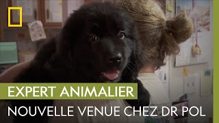 La famille Pol accueille une petite nouvelle | L'INCROYABLE DR POL