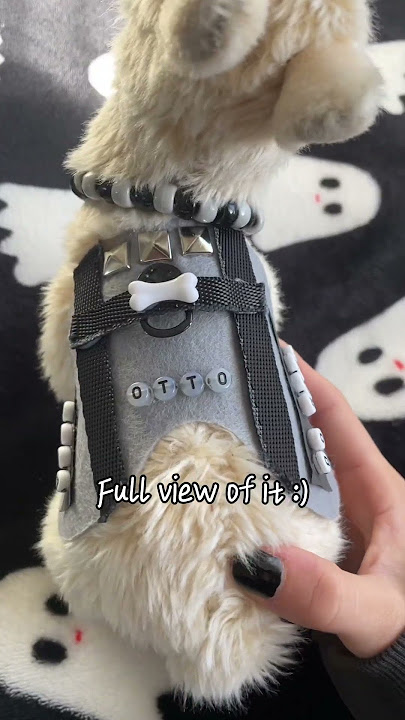 My Essa!! #essa #alpaca #emotionalsupportstuffedanimal #kandi #cute #viral #shorts #beads  #diy